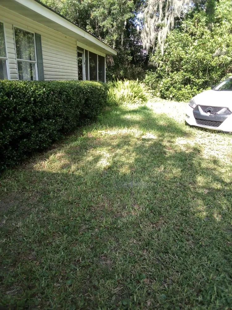 Custom outdoor landscaping for residential properties across Lake Butler, FL - Parrish Property Maintenance And Handyman Service