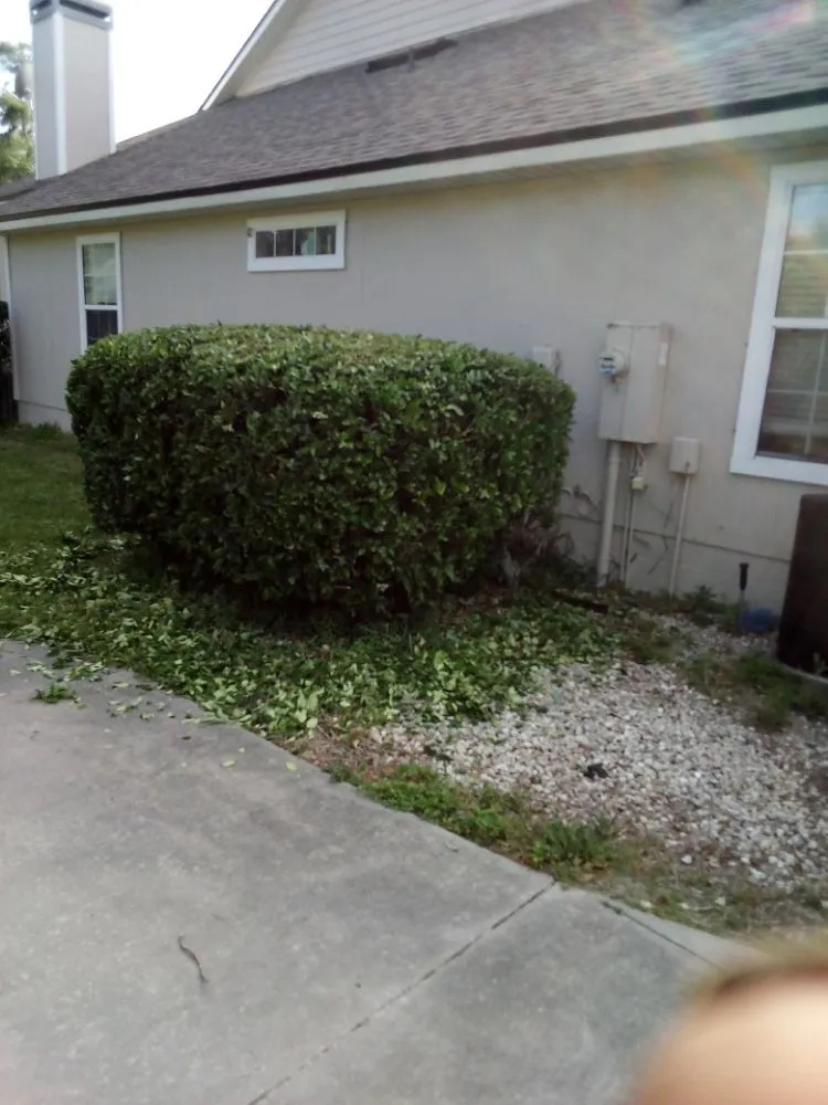 Custom residential landscaping experts serving Lake Butler, FL - Parrish Property Maintenance And Handyman Service