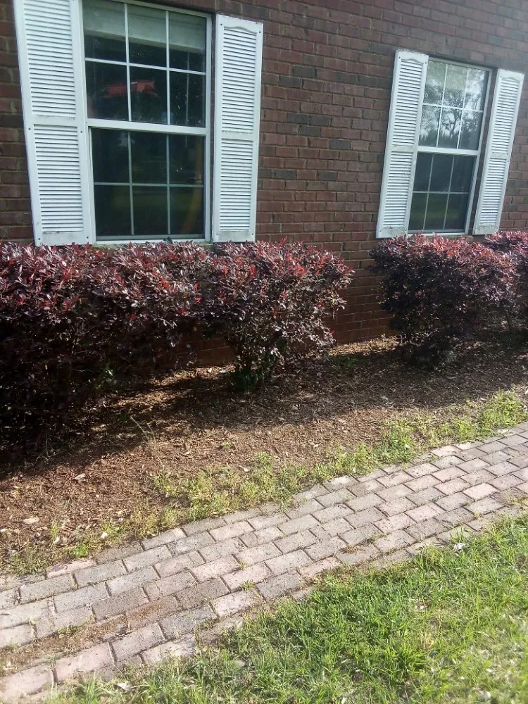 Local yard maintenance for homes in Lake Butler, FL by Parrish Property Maintenance And Handyman Service