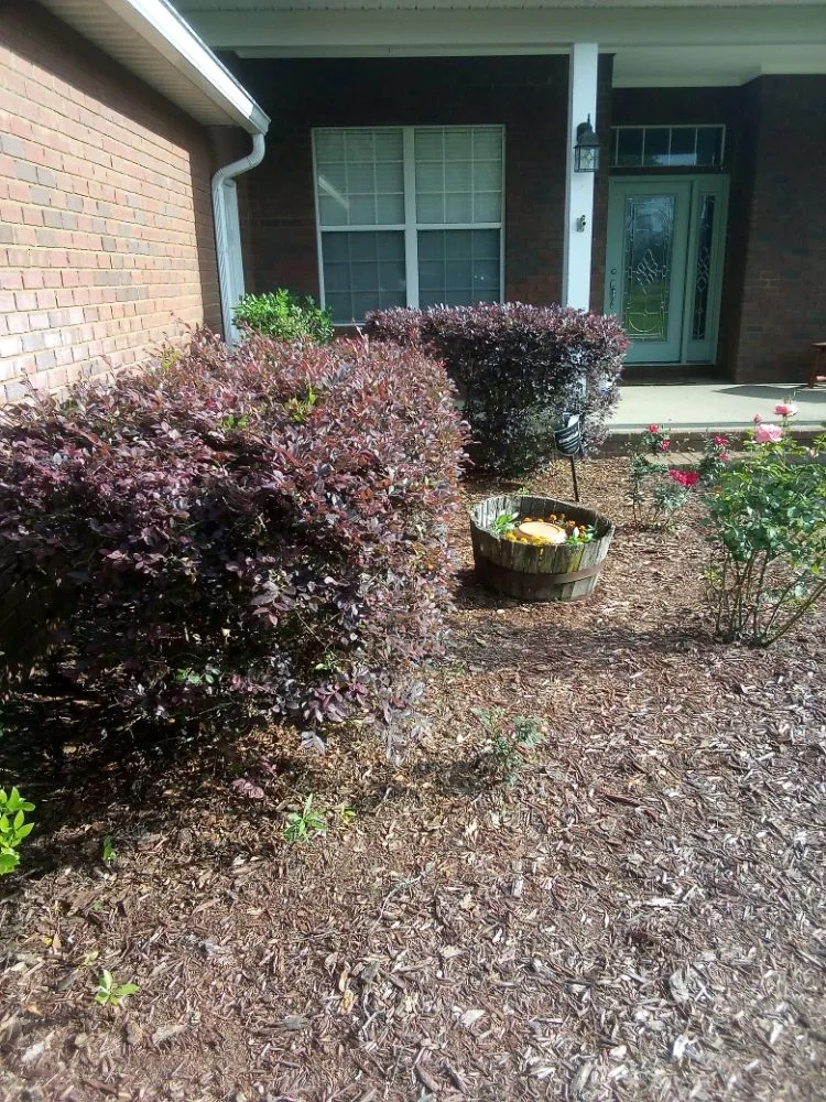 Expert landscape installation for beautiful yards across Lake Butler, FL - Parrish Property Maintenance And Handyman Service