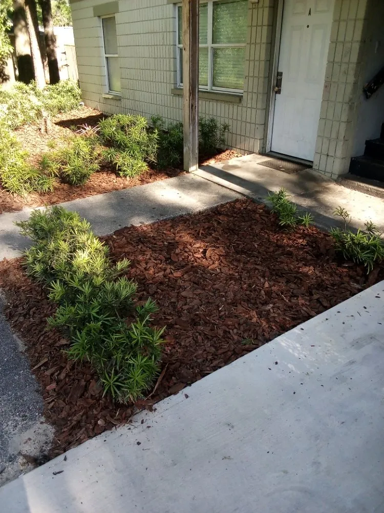 Top-rated landscape design in Lake Butler, FL - Parrish Property Maintenance And Handyman Service