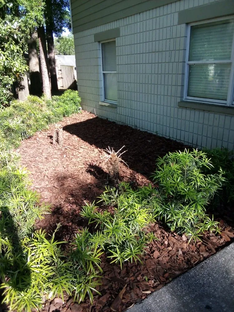 Expert yard maintenance in Lake Butler, FL - Parrish Property Maintenance And Handyman Service