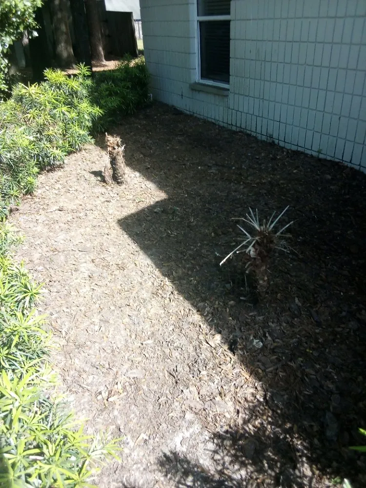 Local outdoor landscaping in Lake Butler, FL by Parrish Property Maintenance And Handyman Service