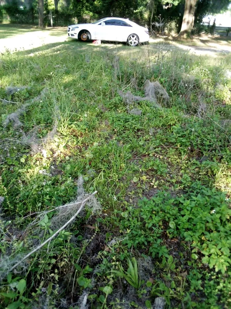 Local lawn mowing service in Lake Butler, FL - Parrish Property Maintenance And Handyman Service