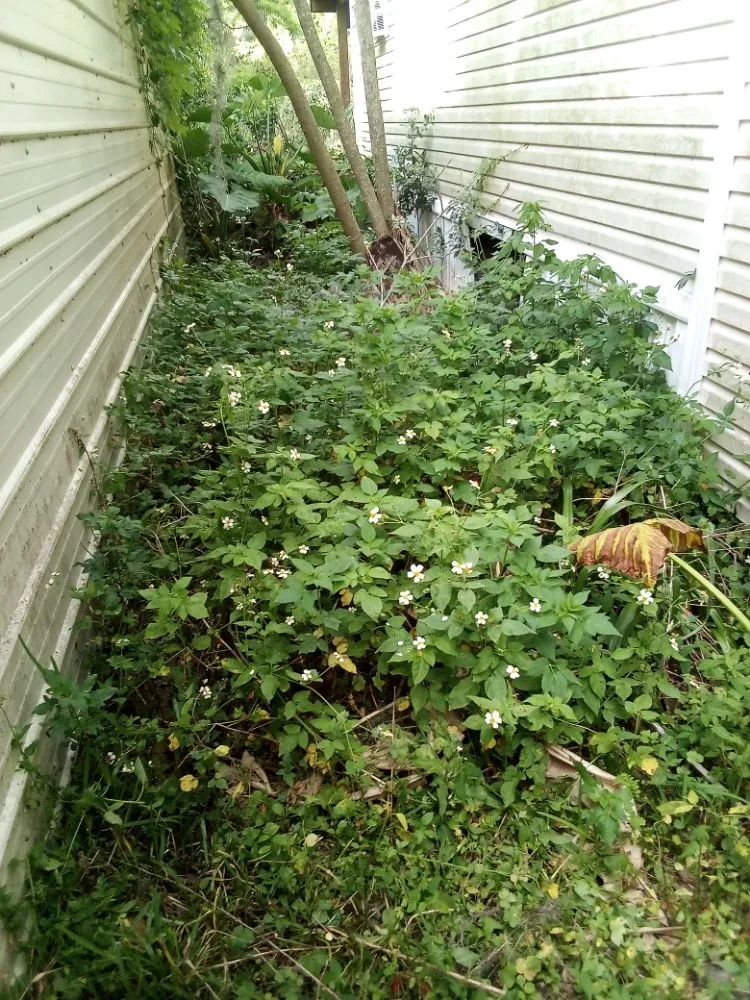 Custom yard maintenance for outdoor upgrades in Lake Butler, FL by Parrish Property Maintenance And Handyman Service