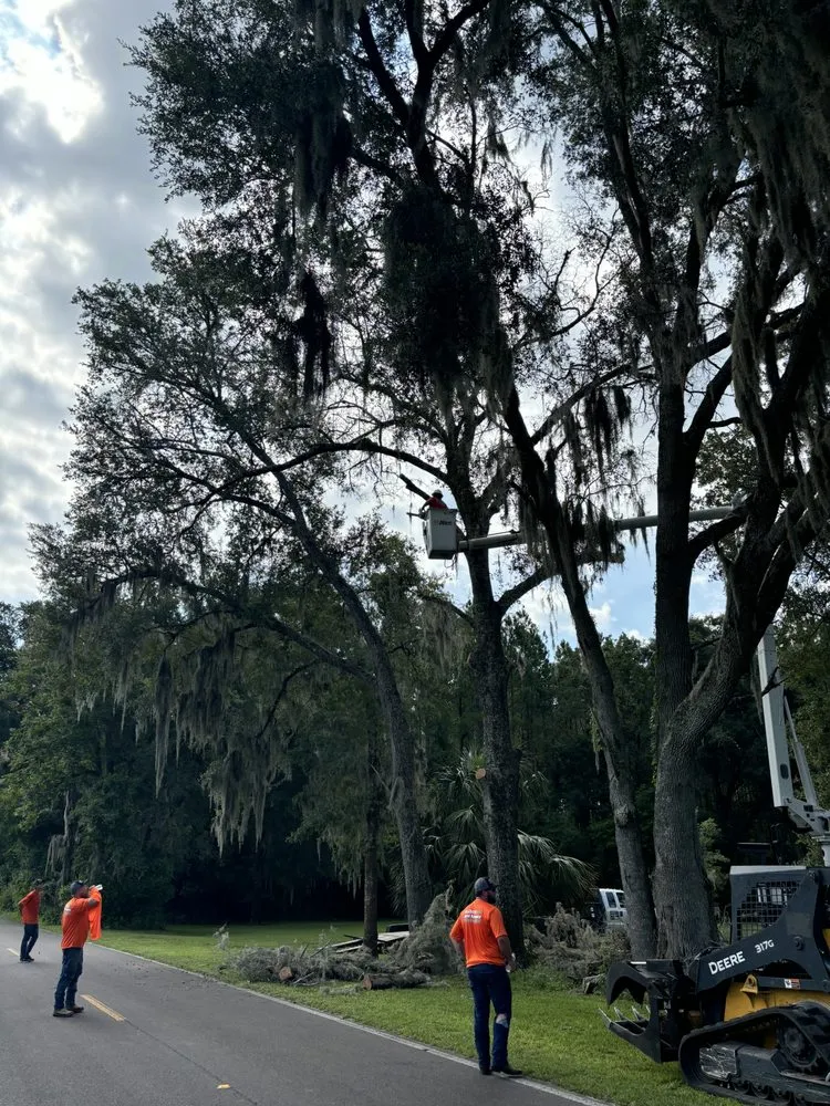 Affordable landscape installation for outdoor upgrades in Bell, FL by Parrish Tree Service