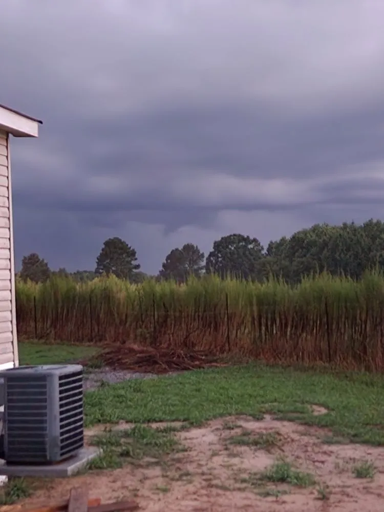 Expert residential landscaping in Vinemont, AL by Parrott's Lawn Care
