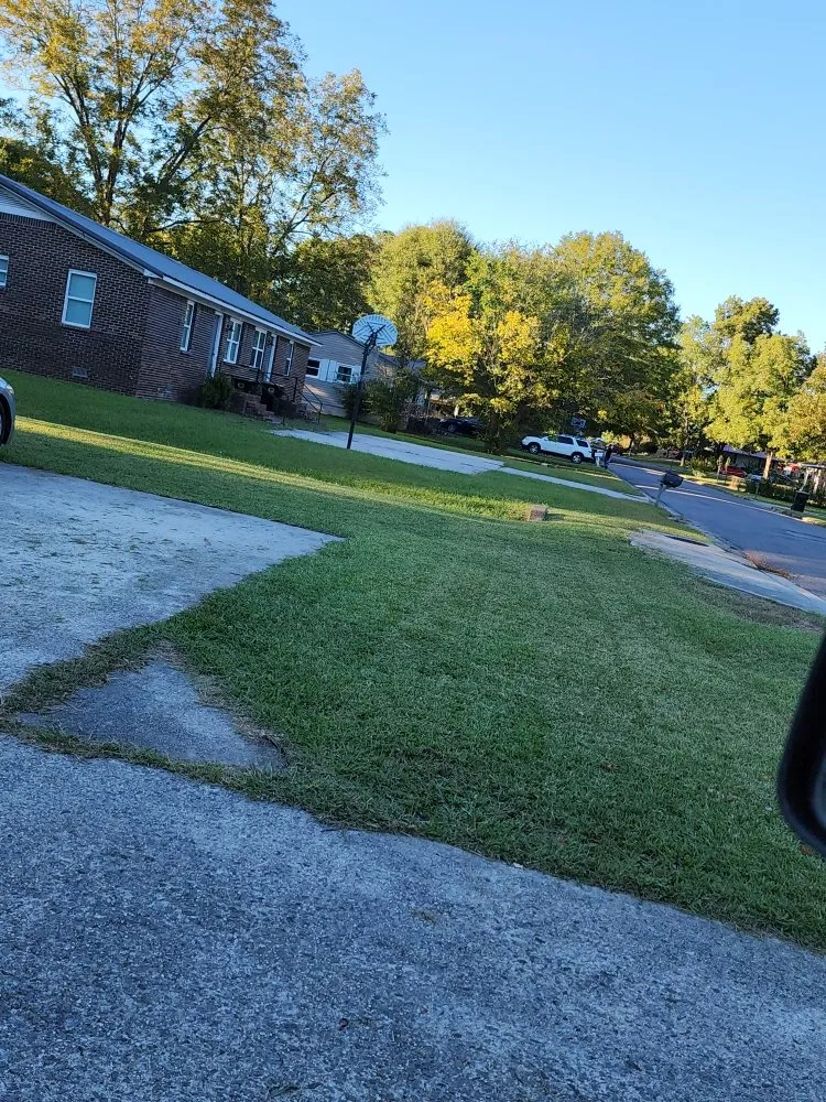 Top-rated lawn mowing service for residential properties in Vinemont, AL by Parrott's Lawn Care