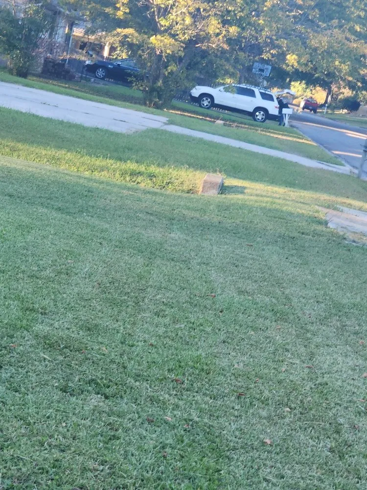 Expert yard maintenance experts serving Vinemont, AL - Parrott's Lawn Care
