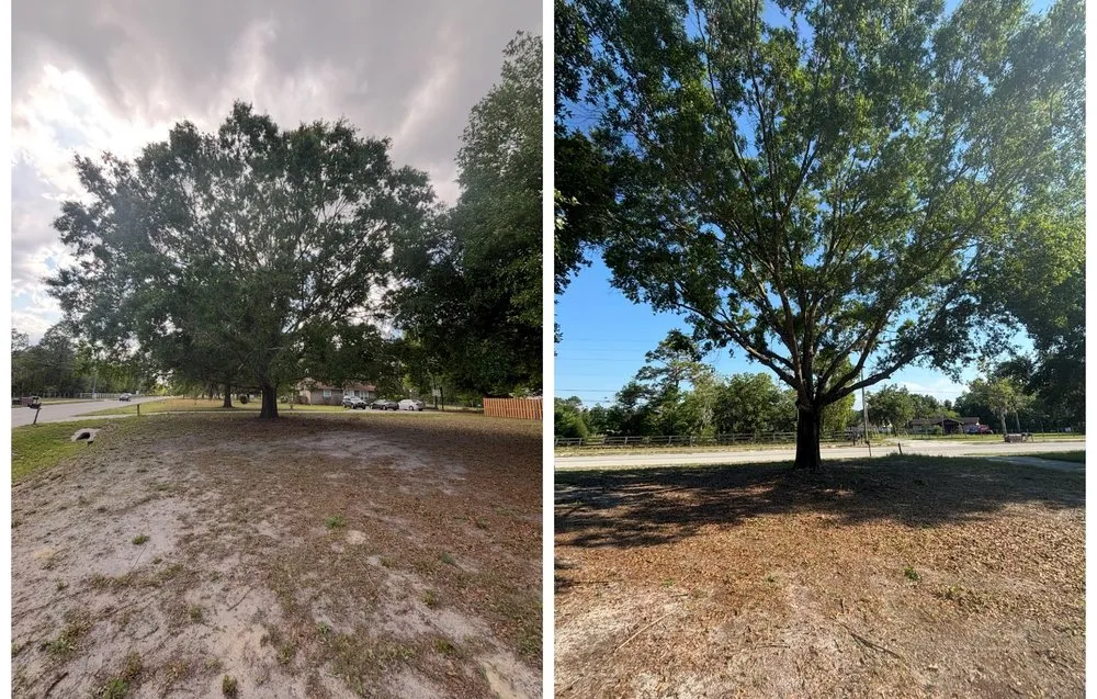 Trusted garden landscaping in Jacksonville, FL - Parson Enterprises