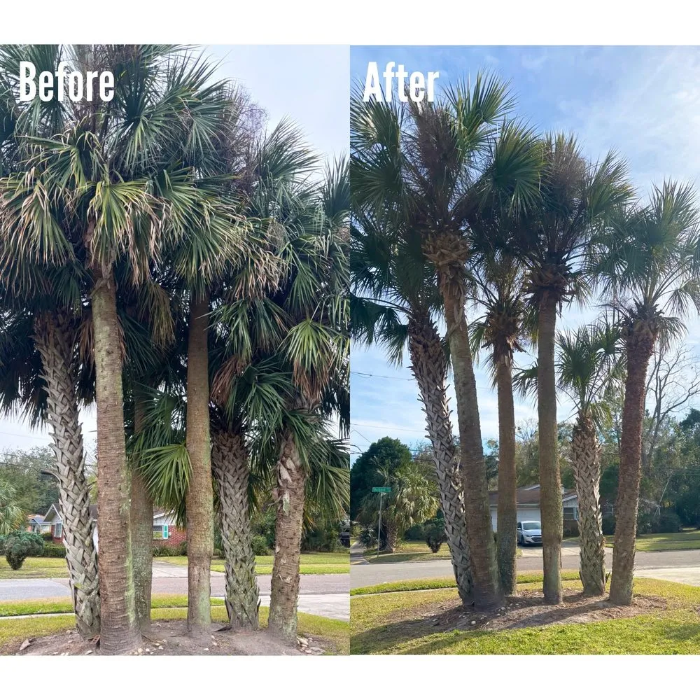 Custom lawn mowing service in Jacksonville, FL - Parson Enterprises