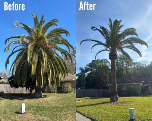 Parson Enterprises Logo