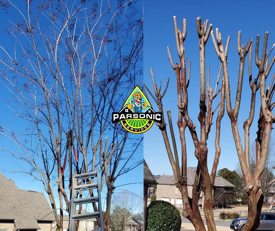 Reliable landscape design in Bessemer, AL - Parsonic Services