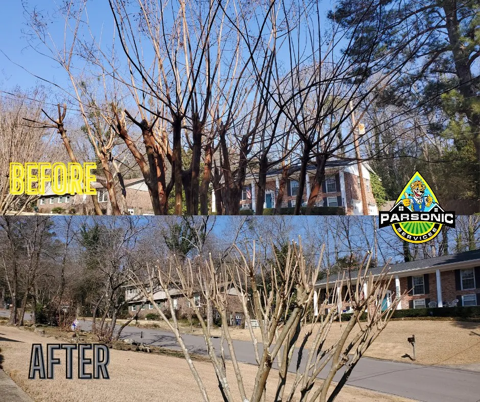 Top-rated lawn care service for homes across Bessemer, AL - Parsonic Services