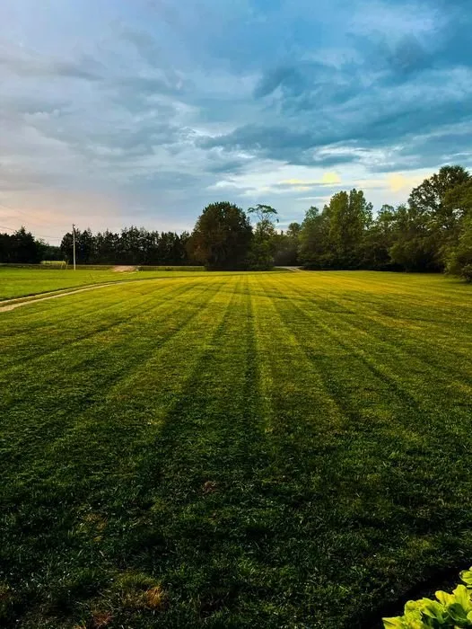 Expert landscape installation in Rutherford, TN - Parsons Creations & Lawn