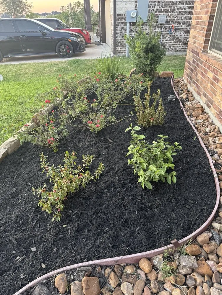 Top-rated yard cleanup service for outdoor upgrades across Kingwood, TX - Parsons Landscaping