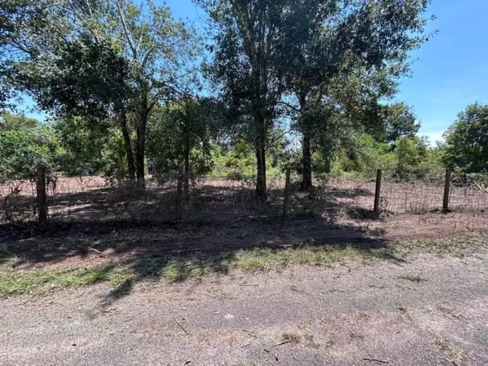 Reliable yard maintenance in Kingwood, TX - Parsons Landscaping