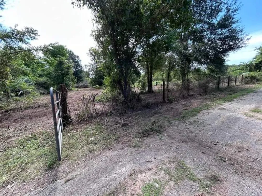 Affordable landscape installation for residential properties in Kingwood, TX by Parsons Landscaping