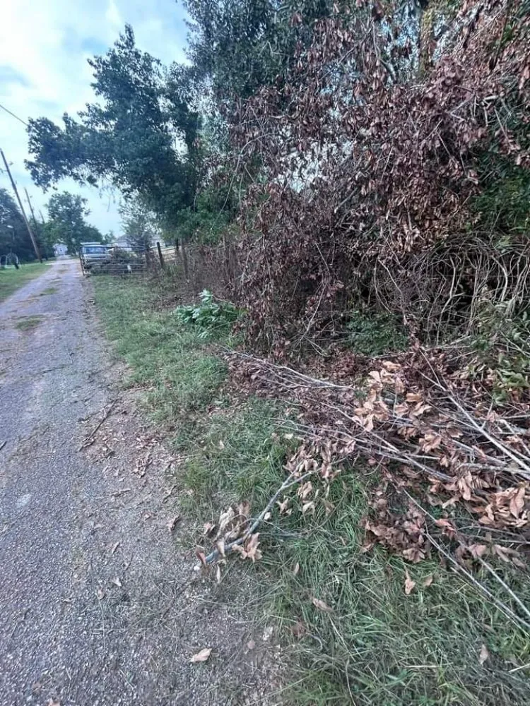 Reliable yard maintenance for outdoor upgrades in Kingwood, TX by Parsons Landscaping