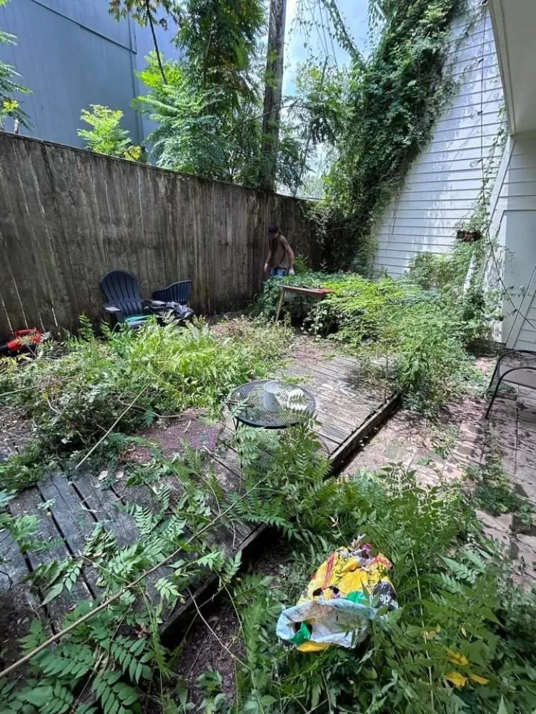 Affordable yard cleanup service with custom design across Kingwood, TX - Parsons Landscaping