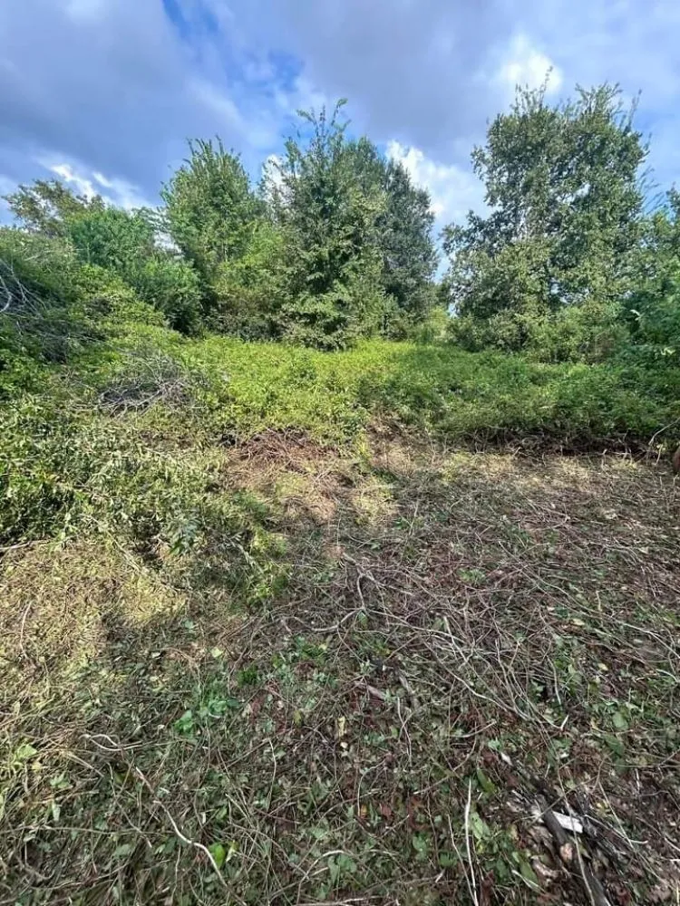 Expert landscaping services in Kingwood, TX - Parsons Landscaping