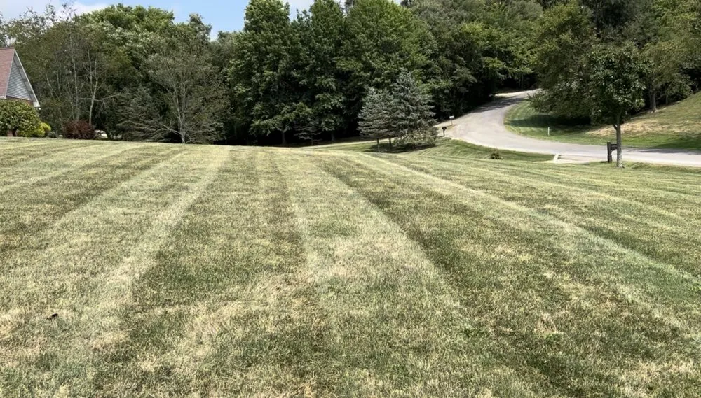 Expert lawn mowing service experts serving Saint Clairsville, OH - Parsons Lawn Works