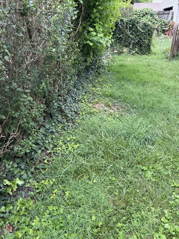 Custom garden landscaping for homes in Saint Clairsville, OH by Parsons Lawn Works