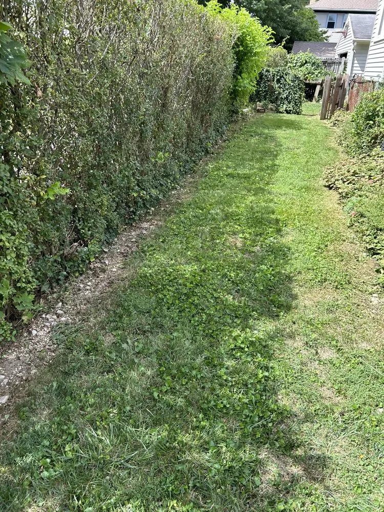 Professional residential landscaping in Saint Clairsville, OH - Parsons Lawn Works