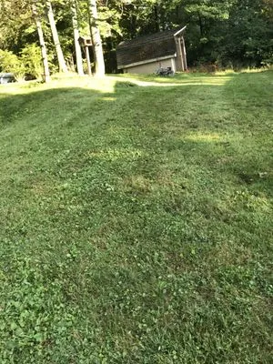 Parsons Pro Landscaping