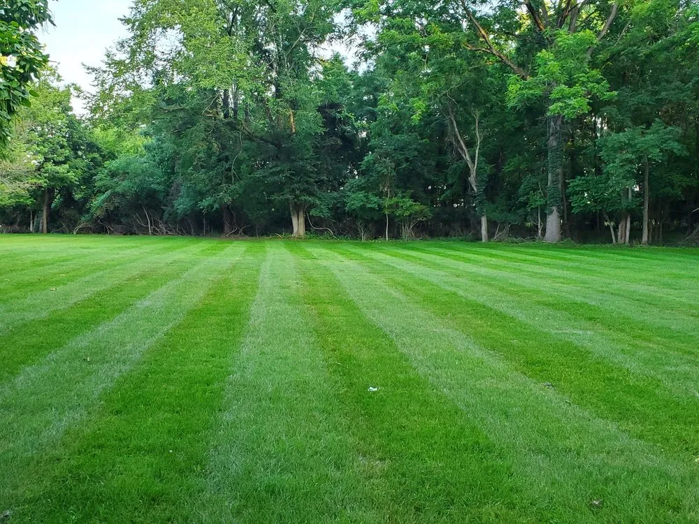 Affordable landscaping services for beautiful yards in Battle Creek, MI by Parsons Pro Service