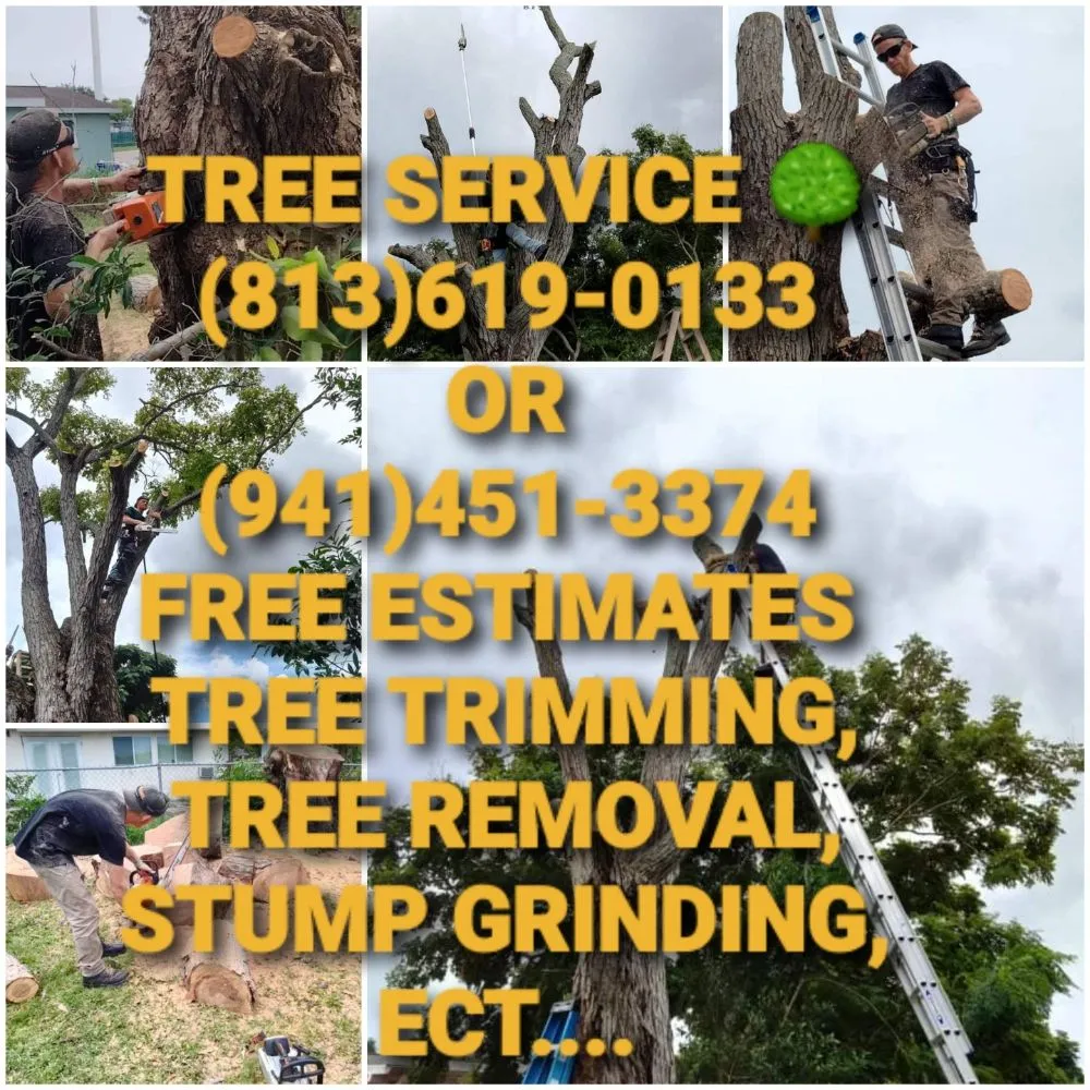 Expert lawn mowing service for residential properties in Gibsonton, FL by Parsons Property Renovations