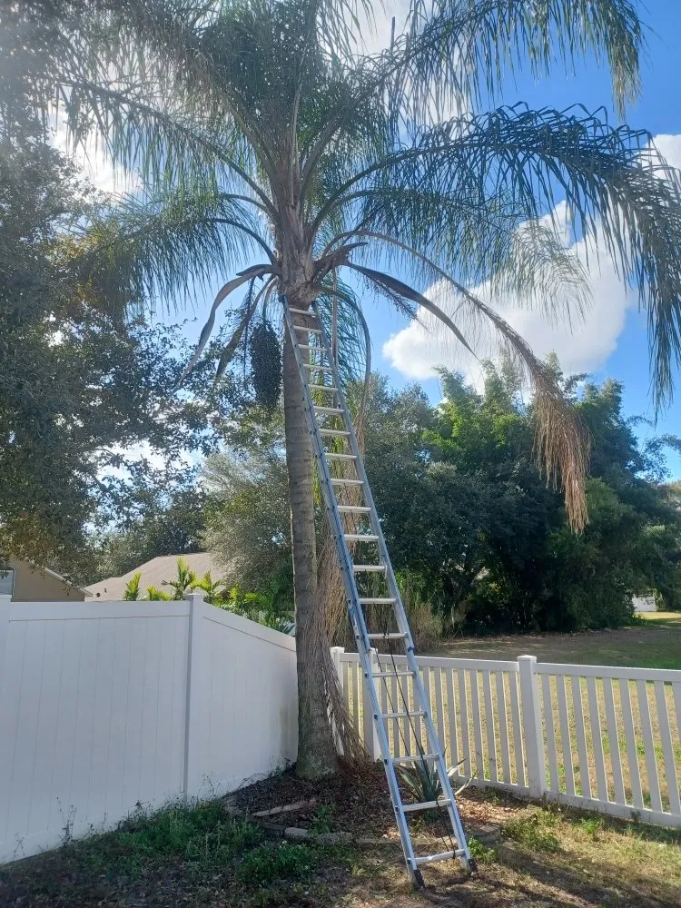 Affordable landscape design in Gibsonton, FL by Parsons Property Renovations