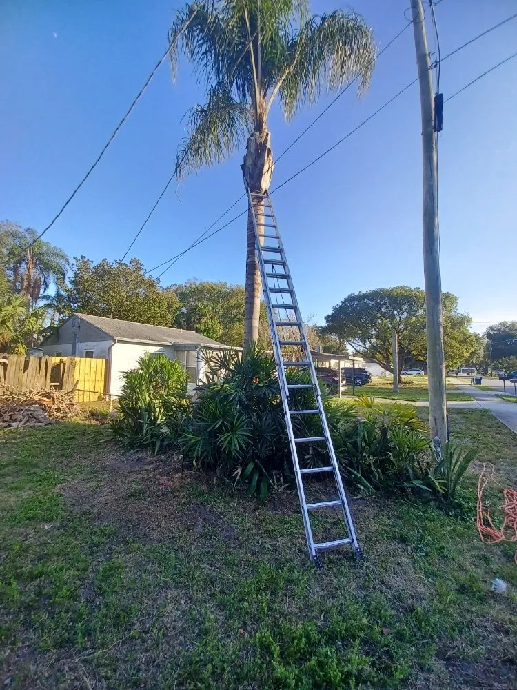 Professional yard cleanup service in Gibsonton, FL - Parsons Property Renovations