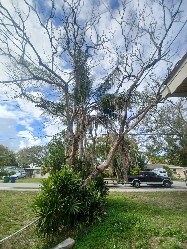 Reliable residential landscaping in Gibsonton, FL - Parsons Property Renovations