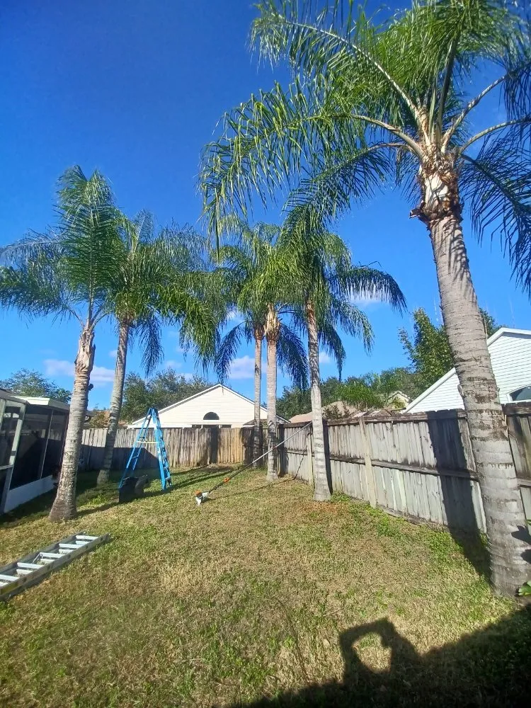 Custom yard maintenance for outdoor upgrades in Gibsonton, FL by Parsons Property Renovations