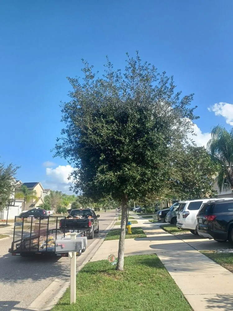 Trusted landscaping services in Gibsonton, FL - Parsons Property Renovations