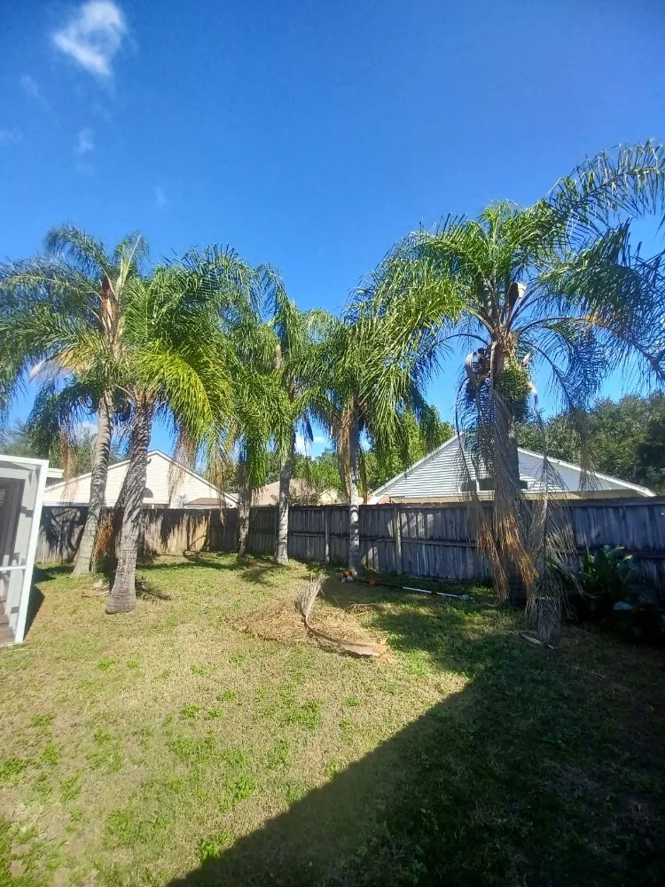 Custom lawn mowing service in Gibsonton, FL - Parsons Property Renovations