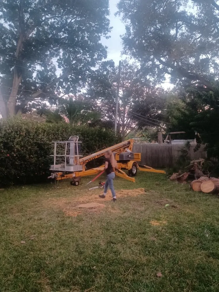 Custom lawn mowing service experts serving Gibsonton, FL - Parsons Property Renovations