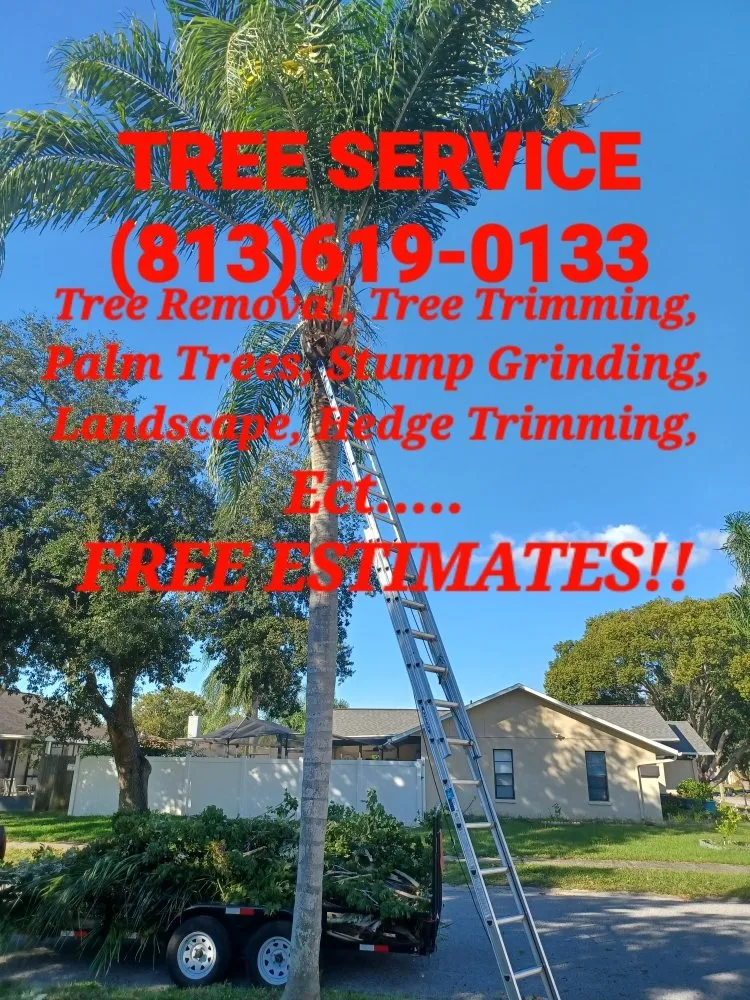 Professional landscape design in Gibsonton, FL - Parsons Property Renovations