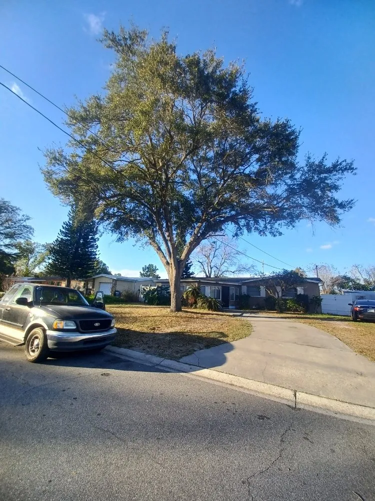 Custom garden landscaping for beautiful yards across Gibsonton, FL - Parsons Property Renovations