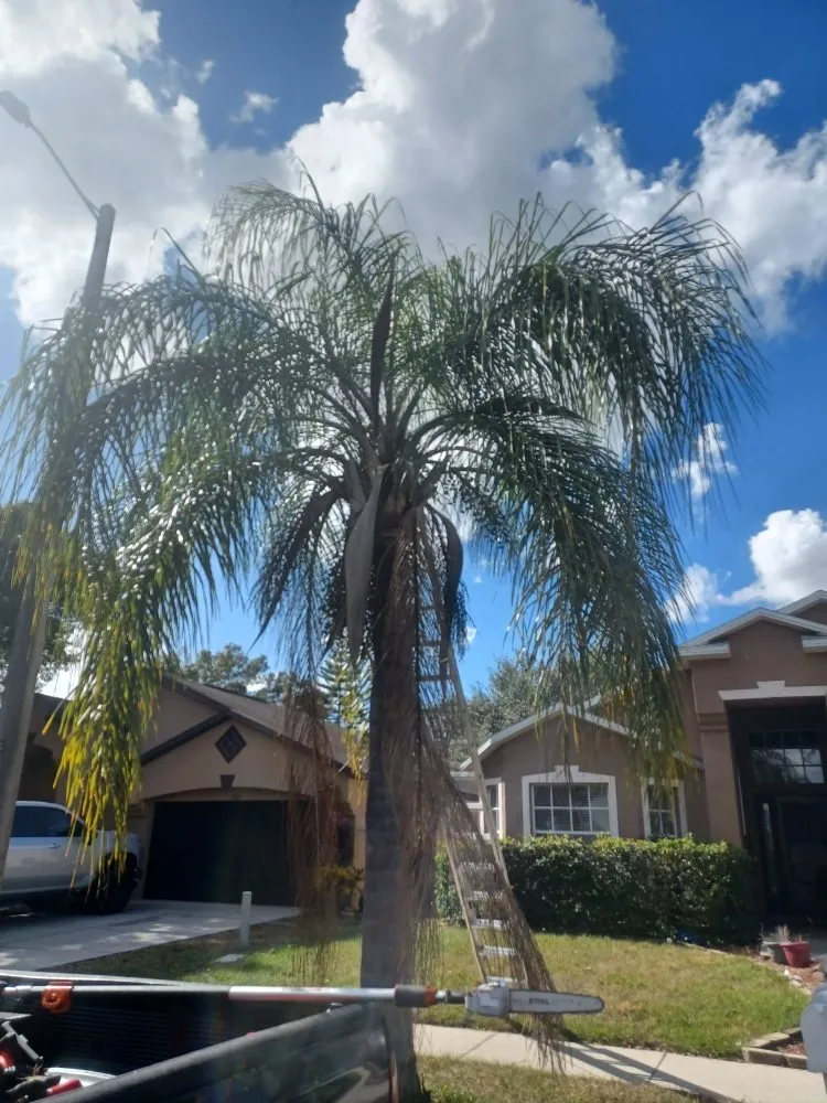 Expert lawn care service for outdoor upgrades across Gibsonton, FL - Parsons Property Renovations