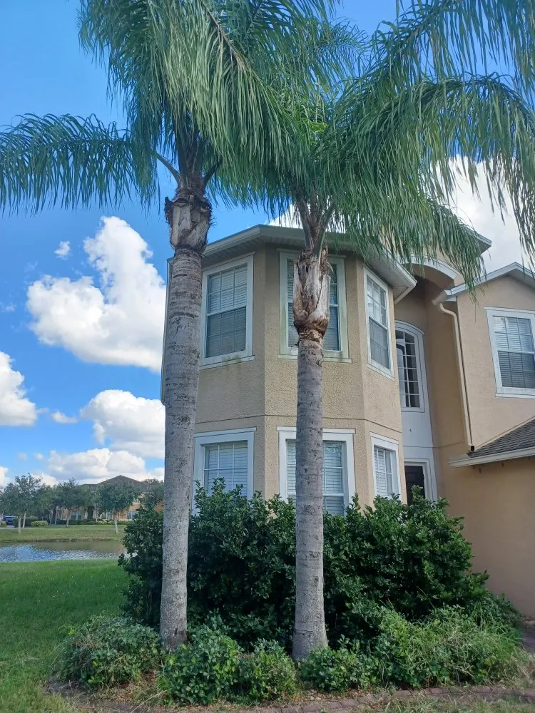 Professional landscape installation in Gibsonton, FL - Parsons Property Renovations