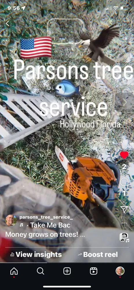 Expert outdoor landscaping in Hollywood, FL by Parsons Tree Service