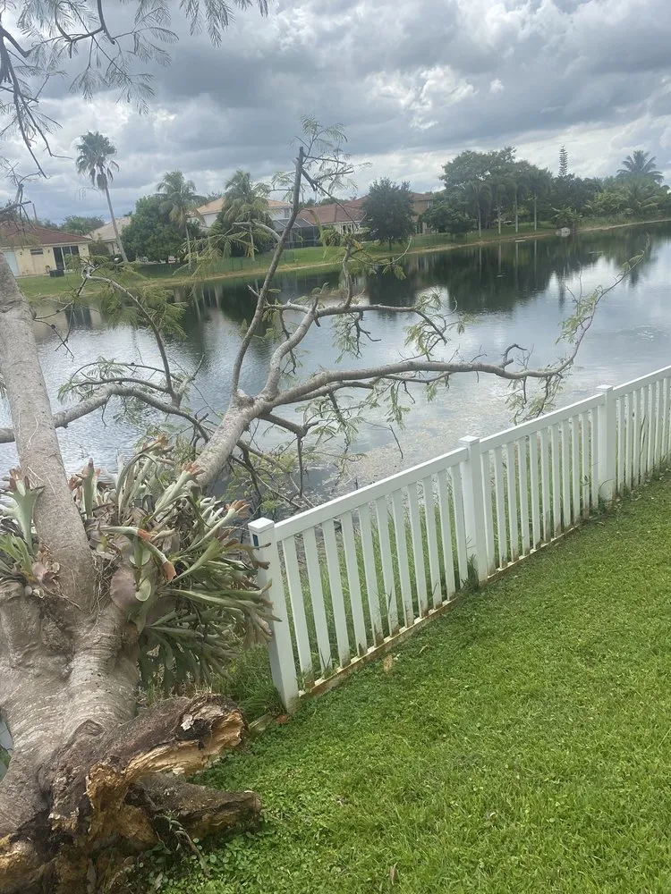 Expert yard maintenance in Hollywood, FL - Parsons Tree Service