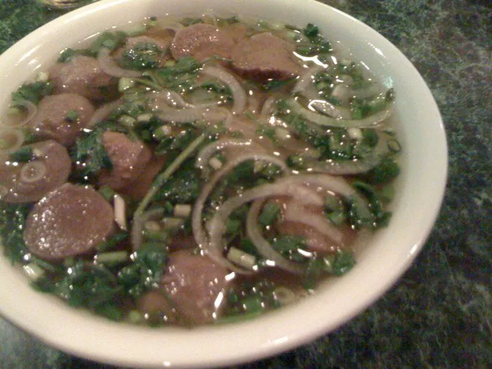 Trusted yard maintenance near you across Hollywood, FL - Parsons Tree Service