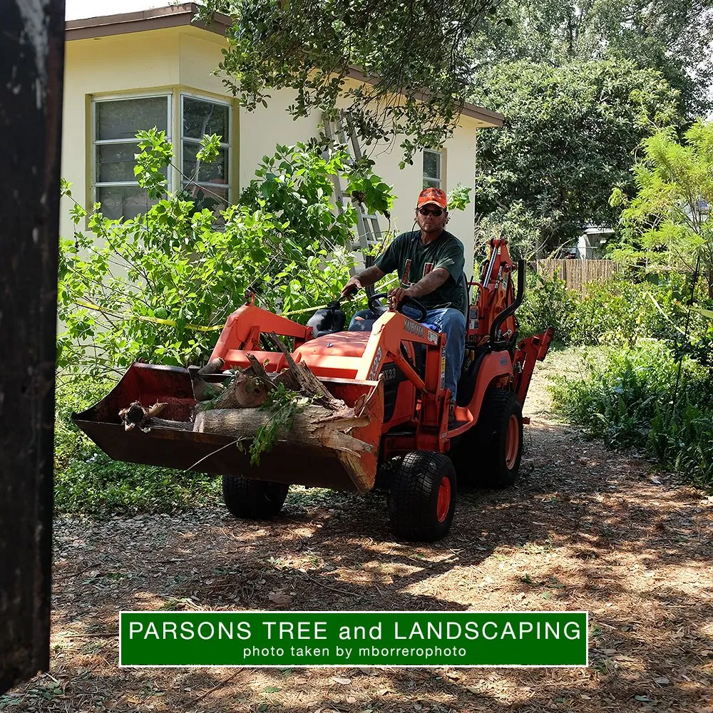 Local landscaping services experts serving Hollywood, FL - Parsons Tree Service