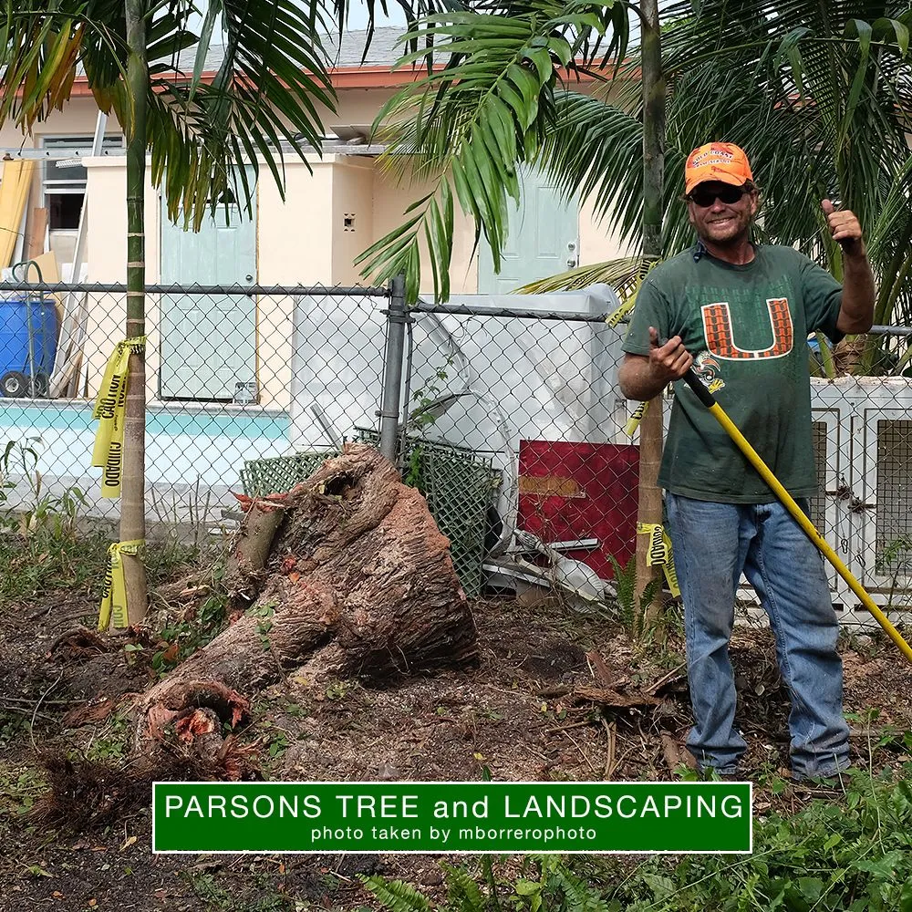 Local garden landscaping near you in Hollywood, FL by Parsons Tree Service