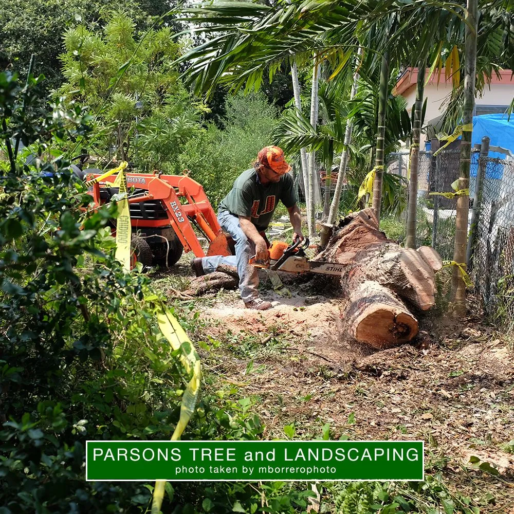 Professional outdoor landscaping experts serving Hollywood, FL - Parsons Tree Service