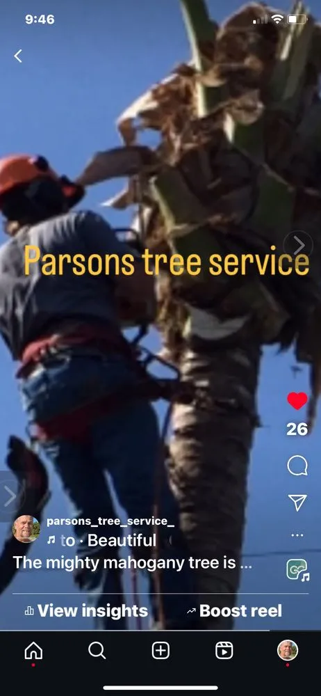 Professional yard maintenance for outdoor upgrades in Hollywood, FL by Parsons Tree Service