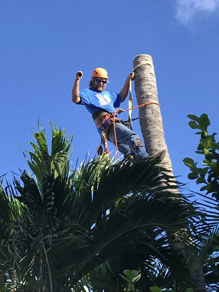 Custom landscape installation in Hollywood, FL - Parsons Tree Service